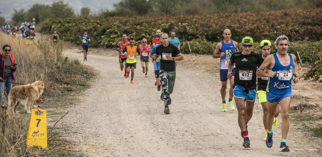 Fotos: Atletas entre las viñas