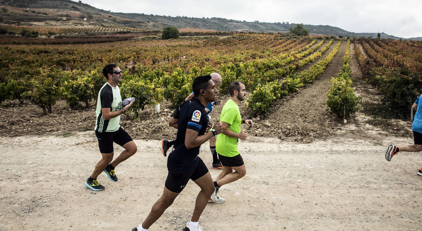 Fotos: Atletas entre las viñas