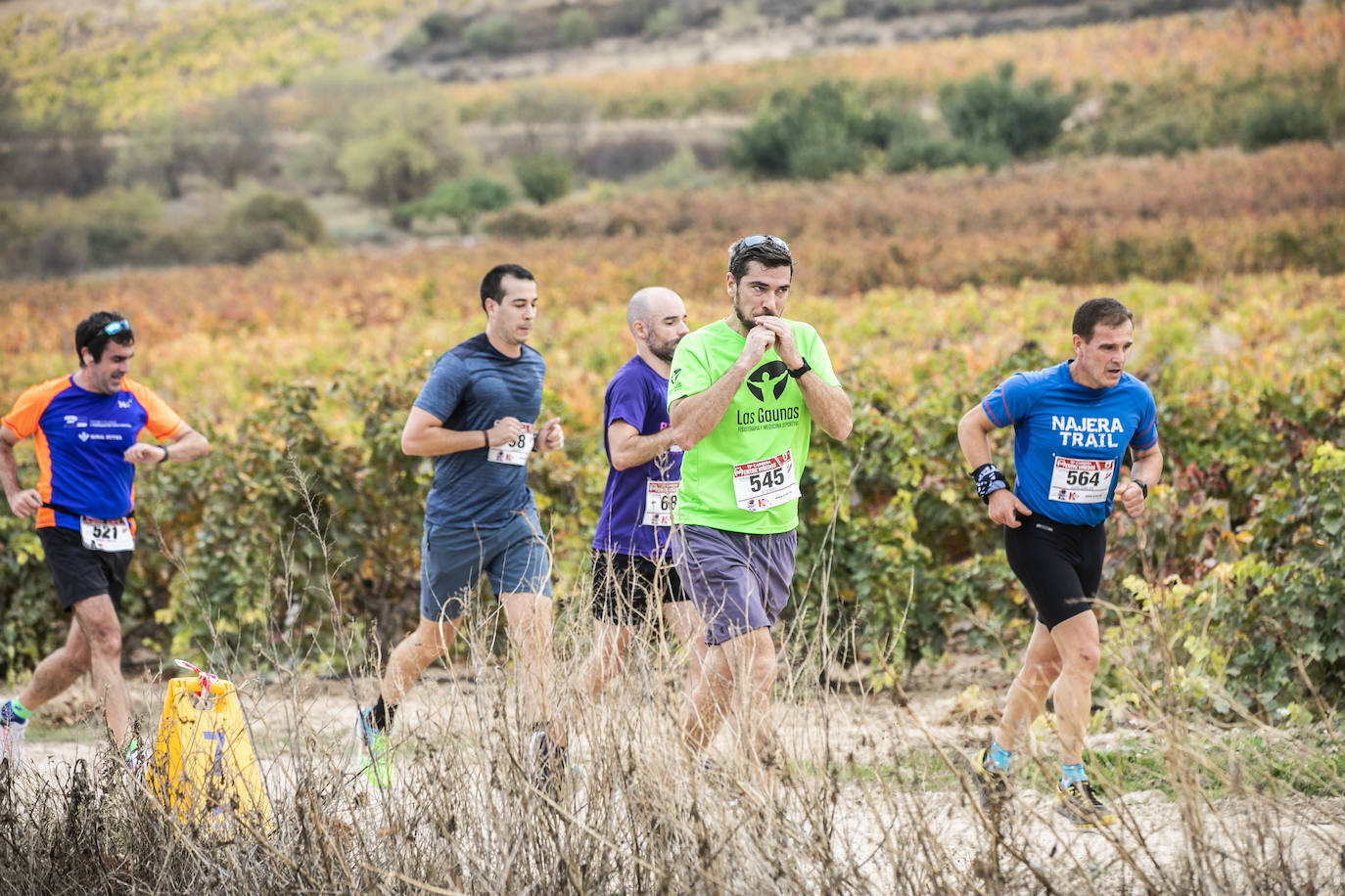 Fotos: Atletas entre las viñas