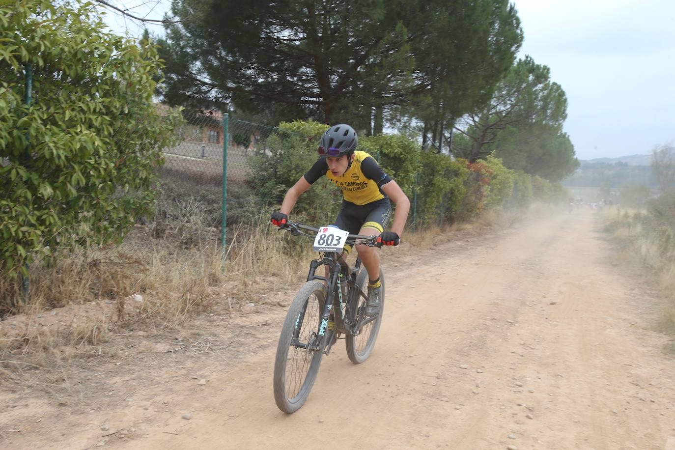 Fotos: La carrera del Campeonato de La Rioja de BTT-XCO