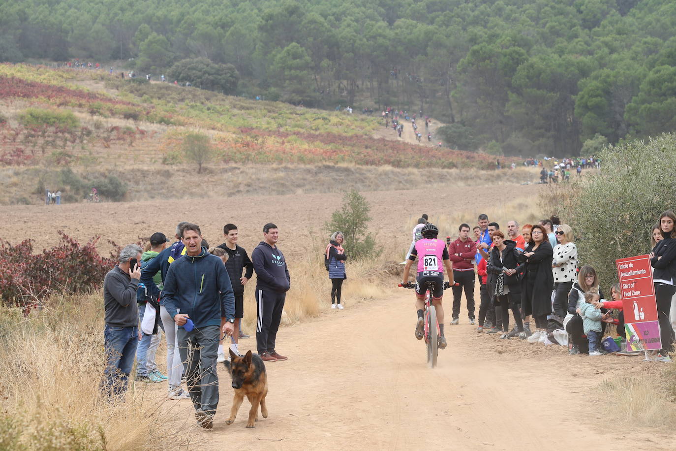 Fotos: La carrera del Campeonato de La Rioja de BTT-XCO