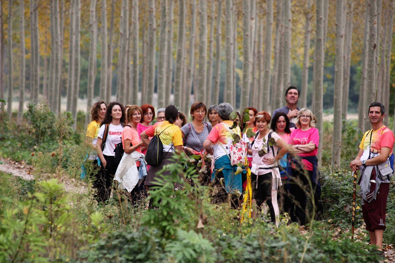 Fotos: Visita al Valle de la Lengua: doscientas personas recorren el Camino Real entre Nájera y San Millán de la Cogolla