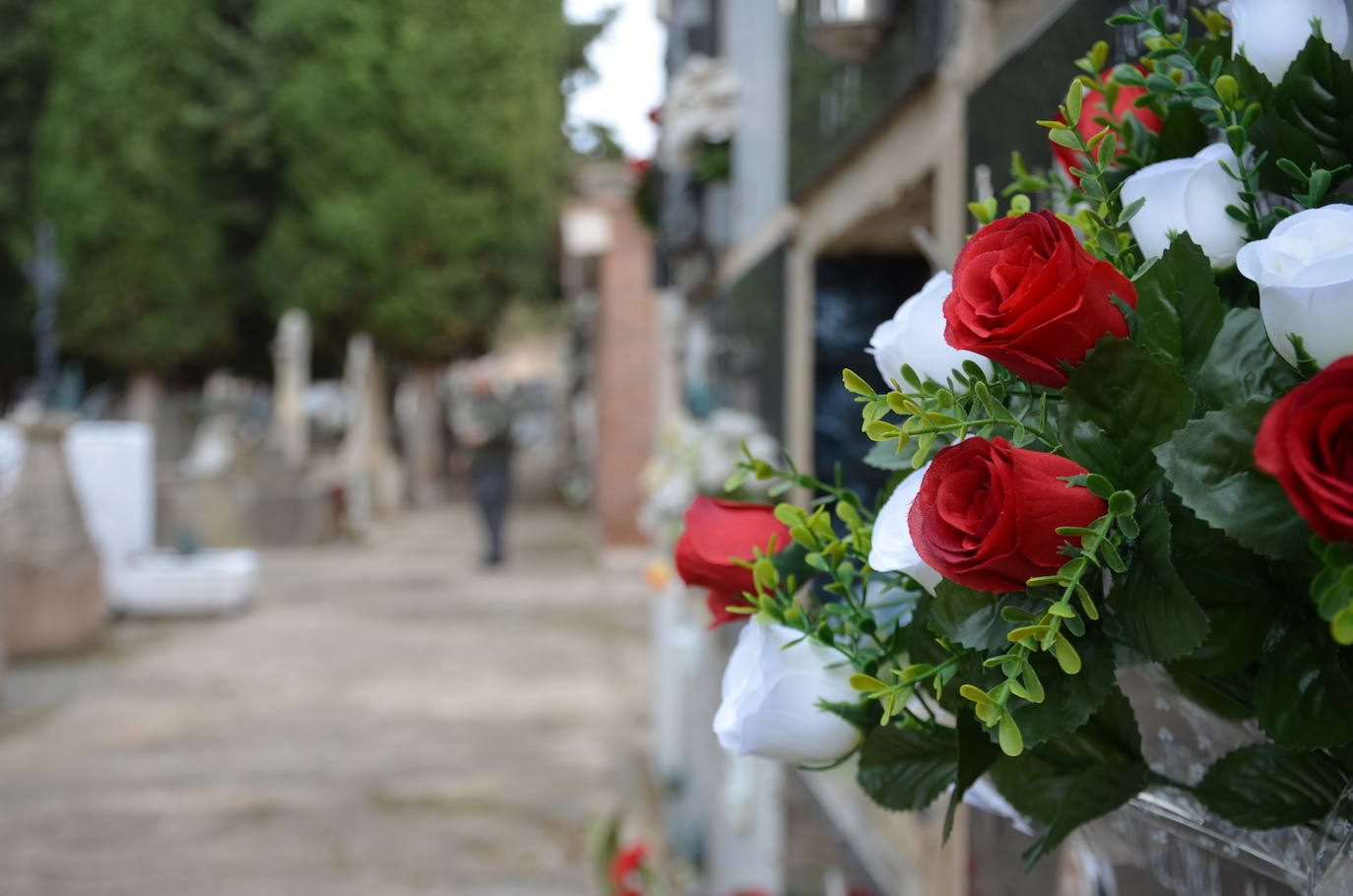 Mañana en el cementerio de Calahorra