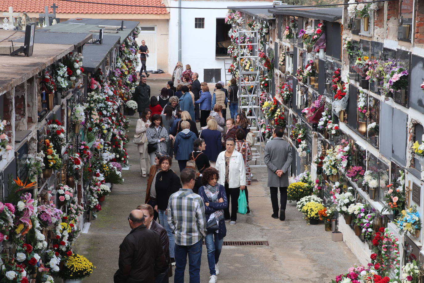 Visita al cementerio de Arnedo.