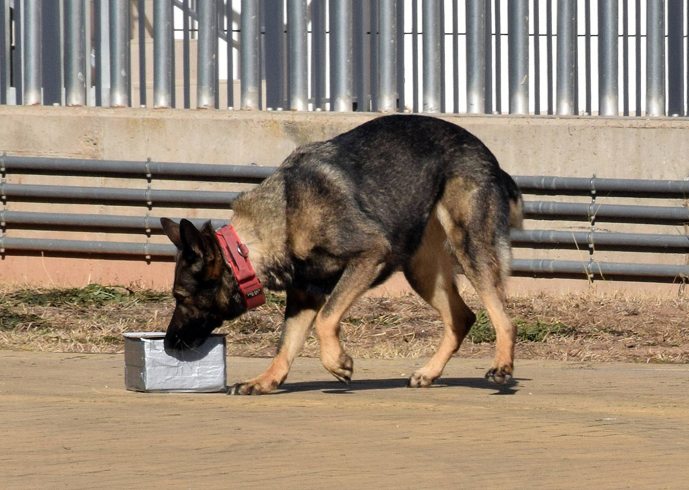 Fotos: La Policía Nacional se acerca a los niños