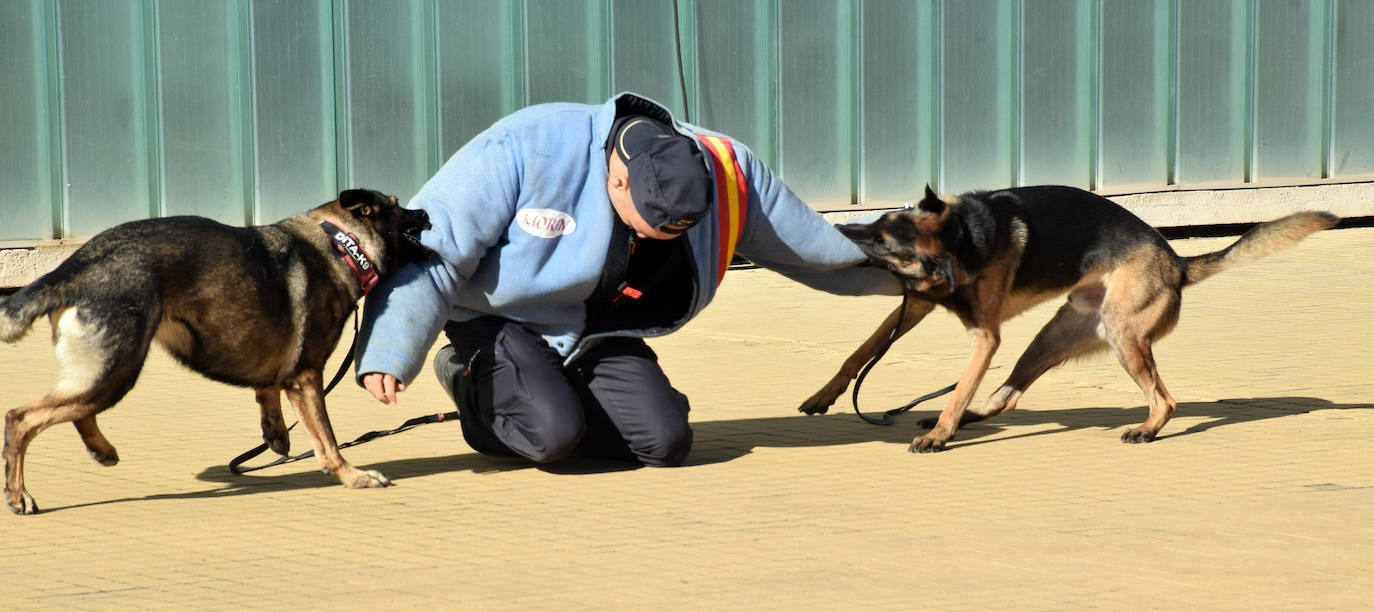 Fotos: La Policía Nacional se acerca a los niños