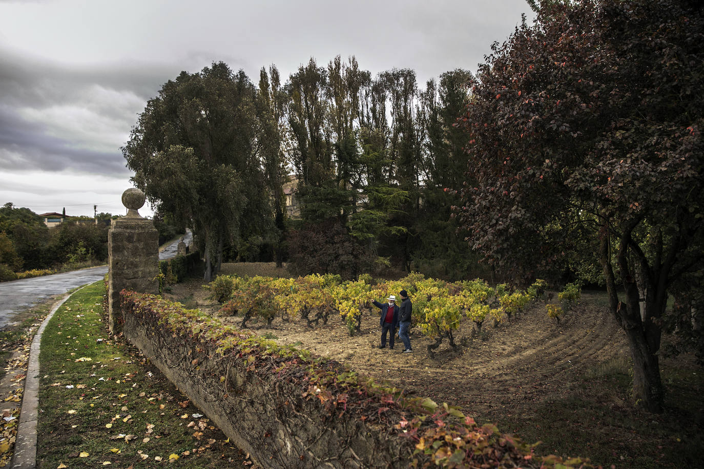 Fotos: Paisajes otoñales | Los Obarenes