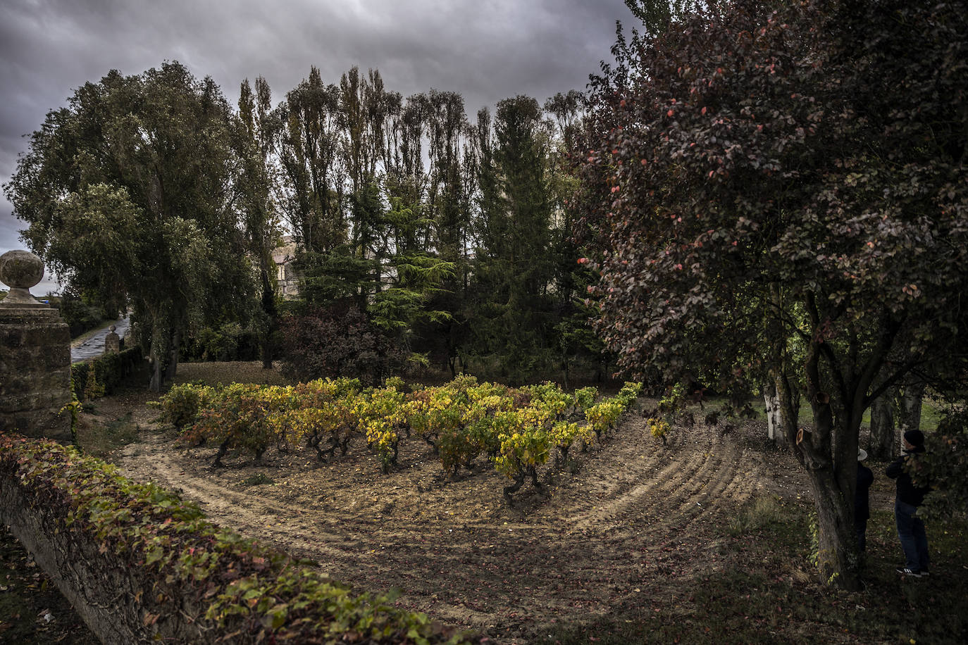 Fotos: Paisajes otoñales | Los Obarenes