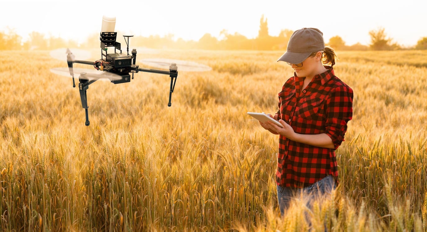 Un dron sobre un campo de cereal. 