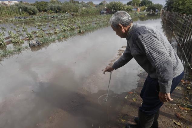 El campo quedó annegado por la lluvia y los daños serán cuantiosos.