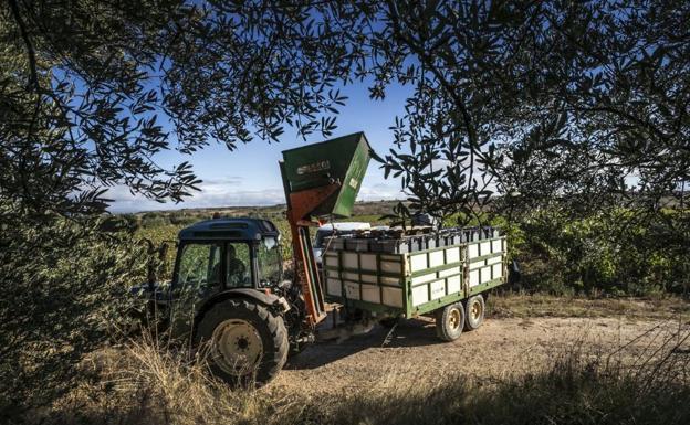 Aprobada una inversión de 9,2 millones para la convocatoria de ayudas del Programa de Desarrollo Rural