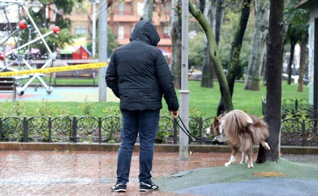 No limpiar los orines de los perros conllevará multa de hasta 750 euros