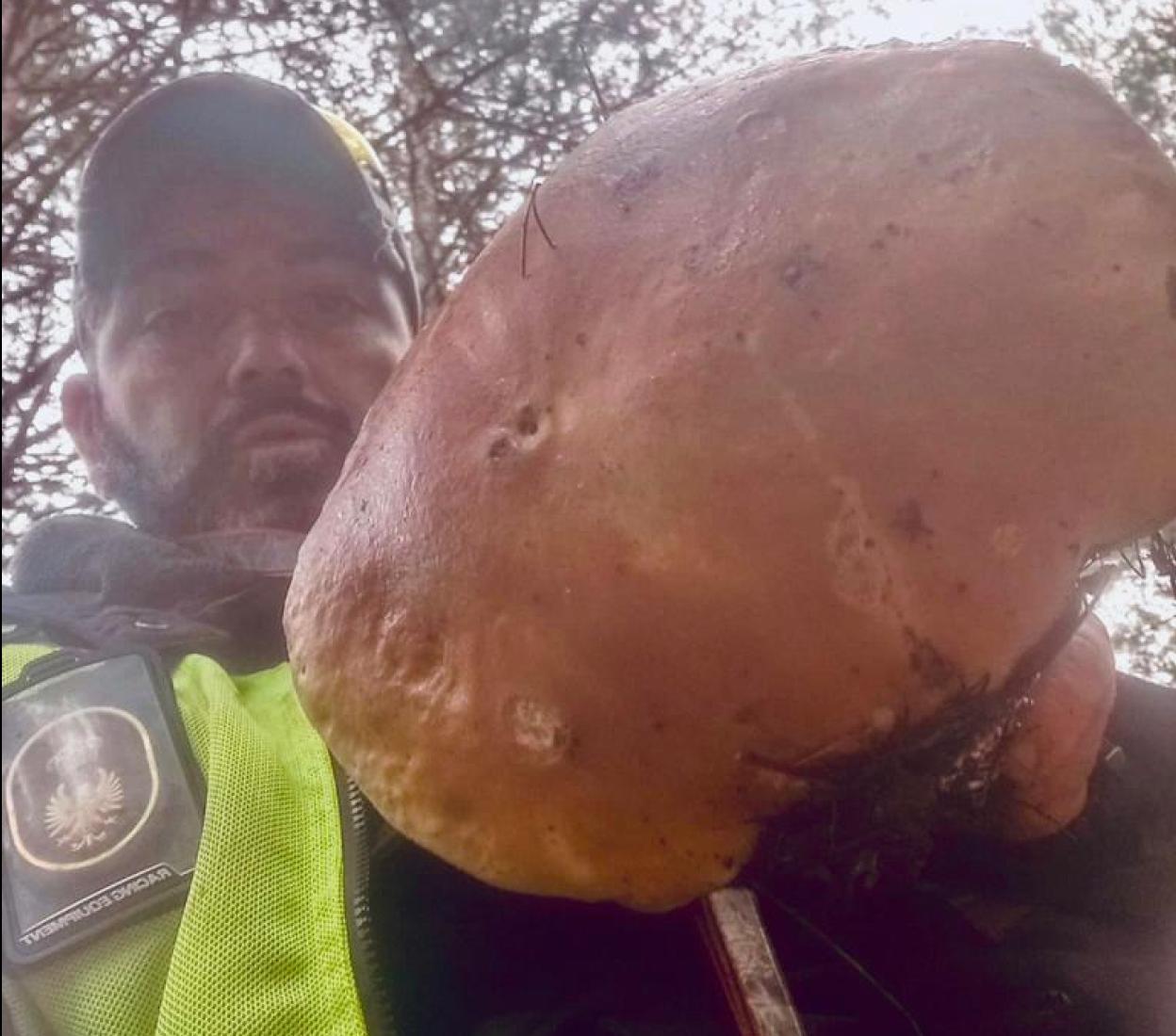 Sergio Soto posa con el enorme boletus edulis encontrado en los montes de Ezcaray. 