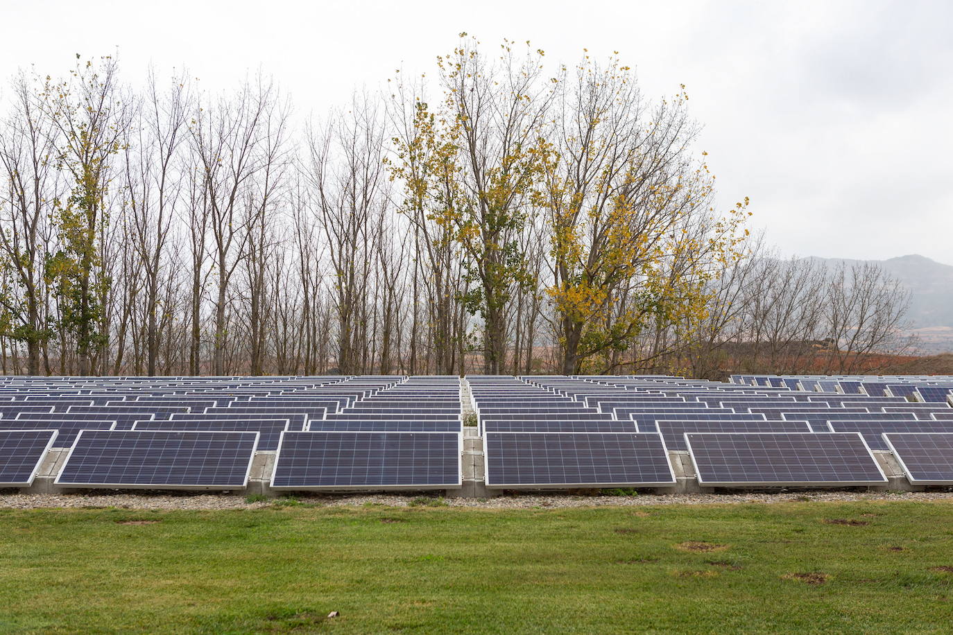 Imagen de unas placas solares en el campo. 