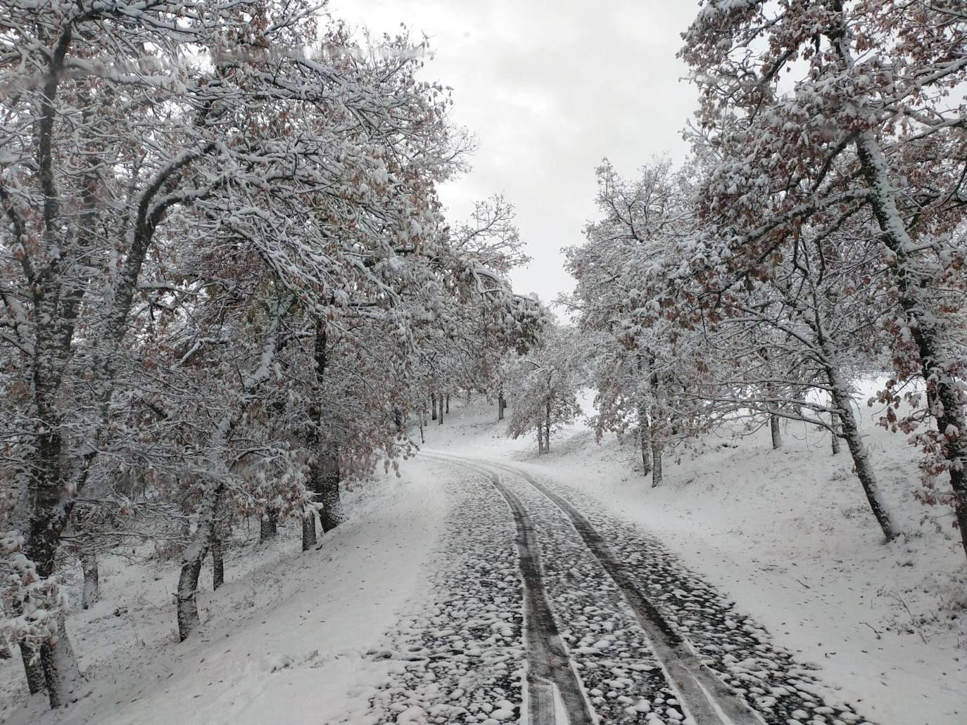 Fotos: La nieve llega a La Rioja