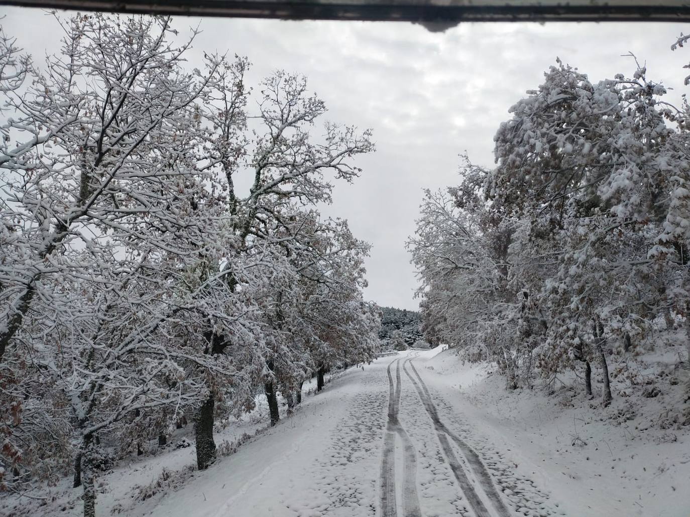 Fotos: La nieve llega a La Rioja