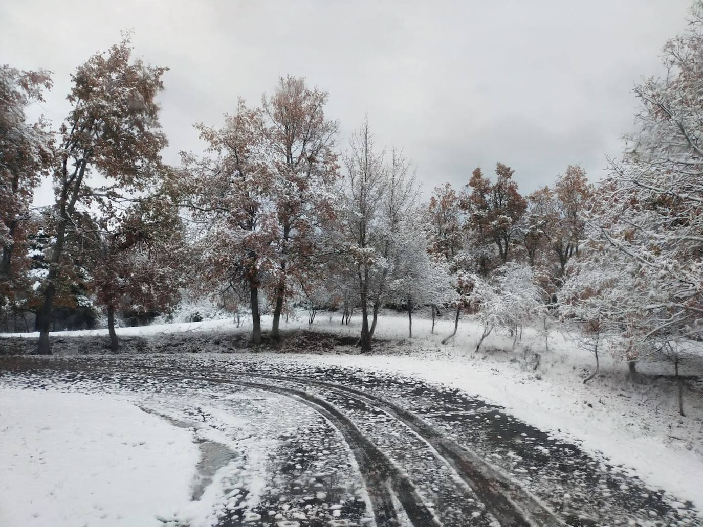 Fotos: La nieve llega a La Rioja