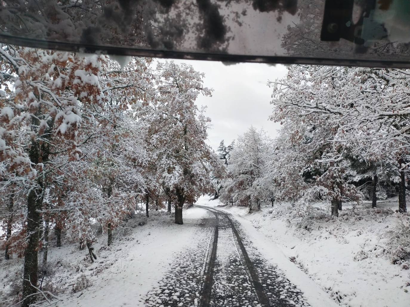 Fotos: La nieve llega a La Rioja