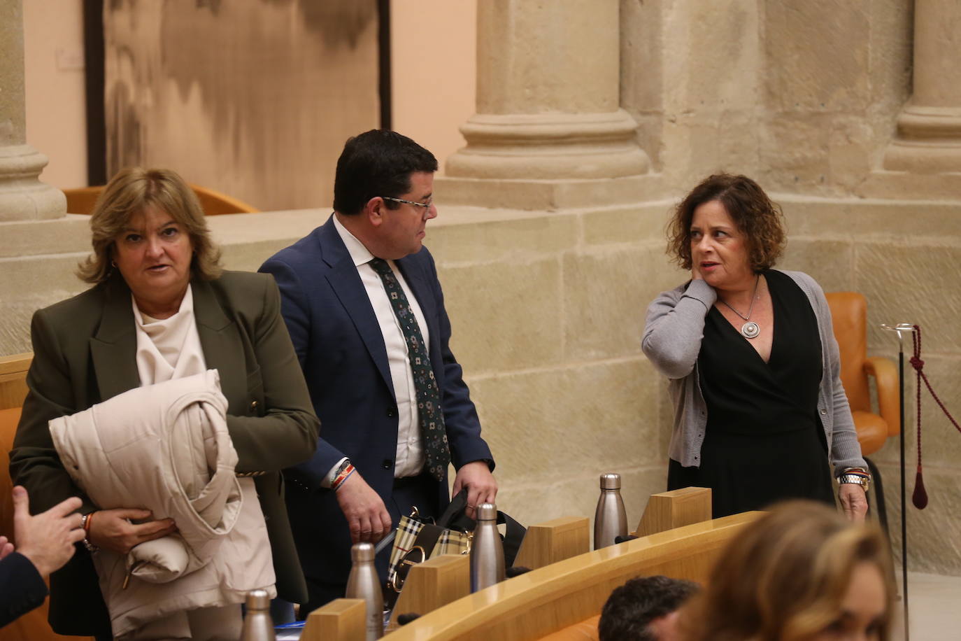 Fotos: Sesión ordinaria en el Parlamento riojano