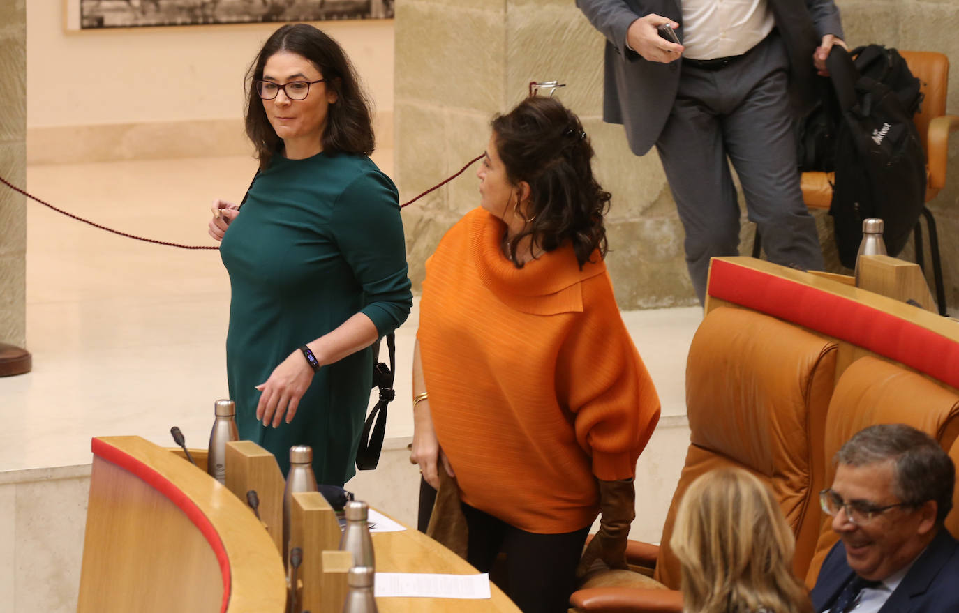 Fotos: Sesión ordinaria en el Parlamento riojano