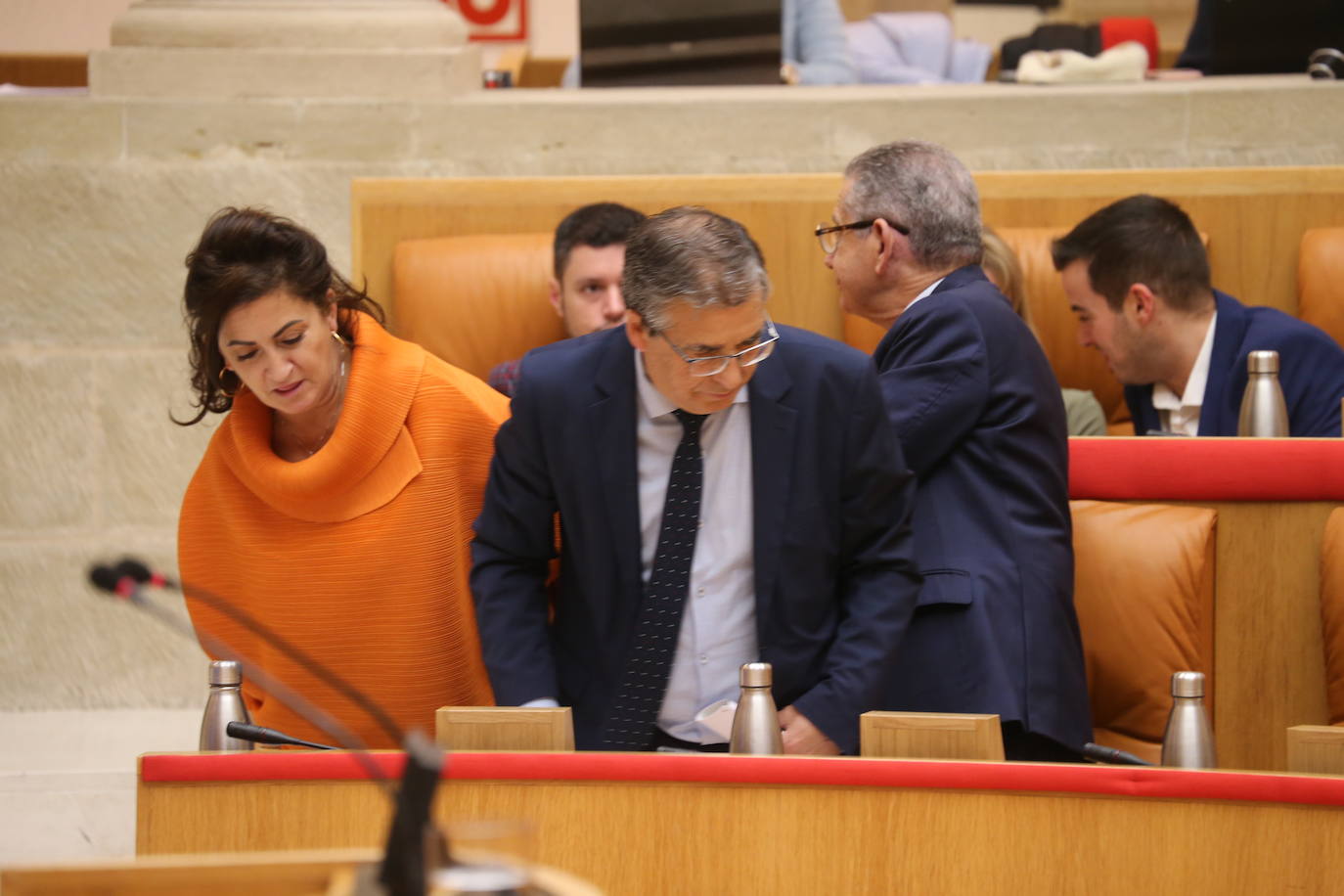 Fotos: Sesión ordinaria en el Parlamento riojano