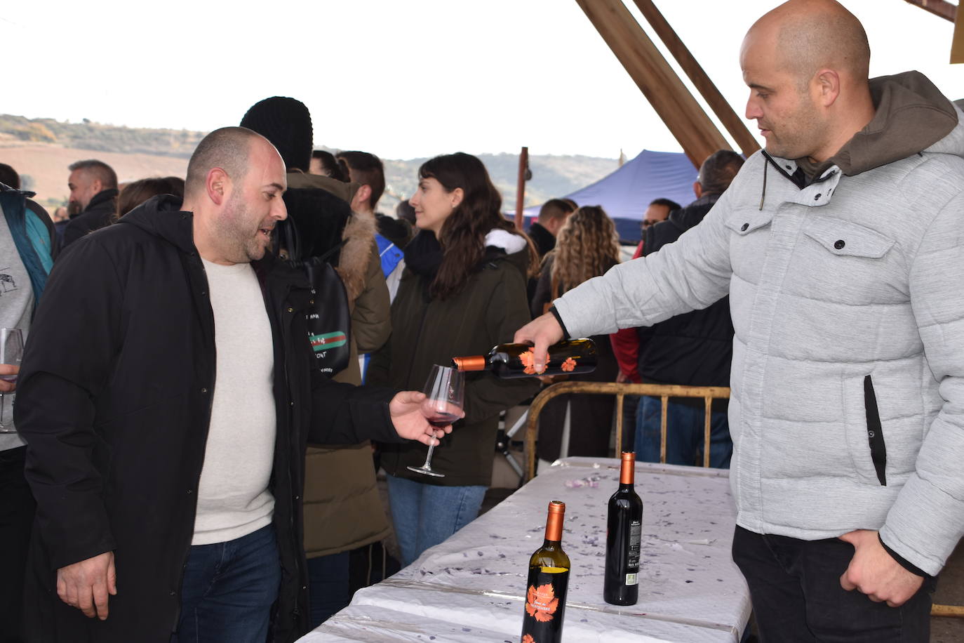 Fotos: Ausejo celebra el vino joven más joven