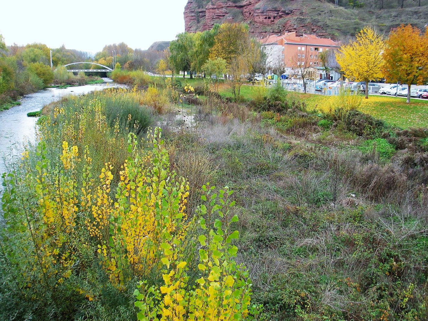 Isleta en el río Najerilla en la que el funcionario se negó a intervenir. 