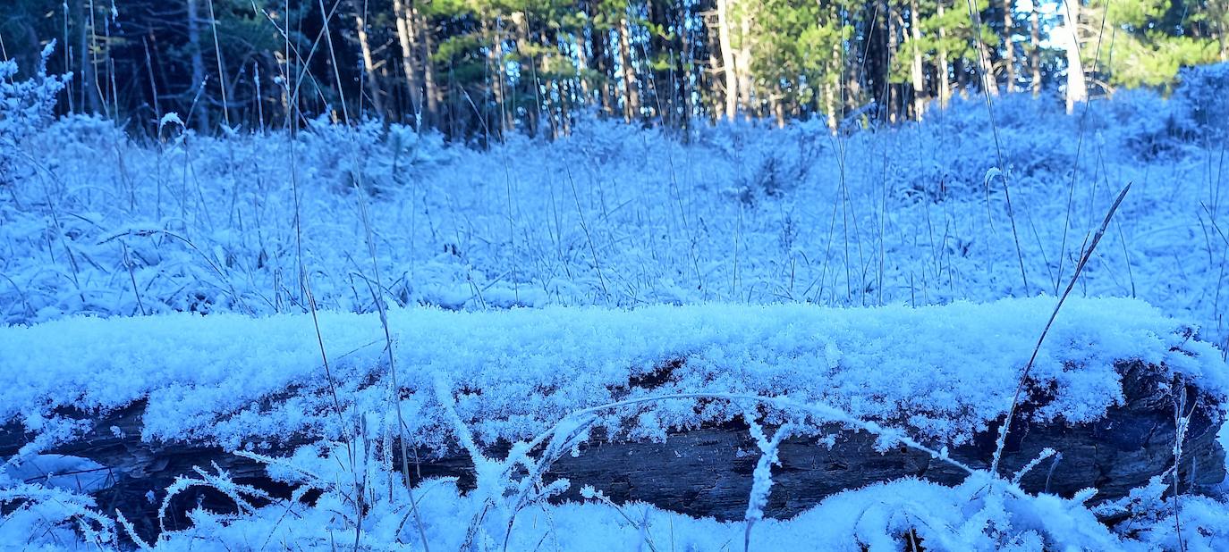 Fotos: Las estampas que dejan el frío y la nieve en La Rioja