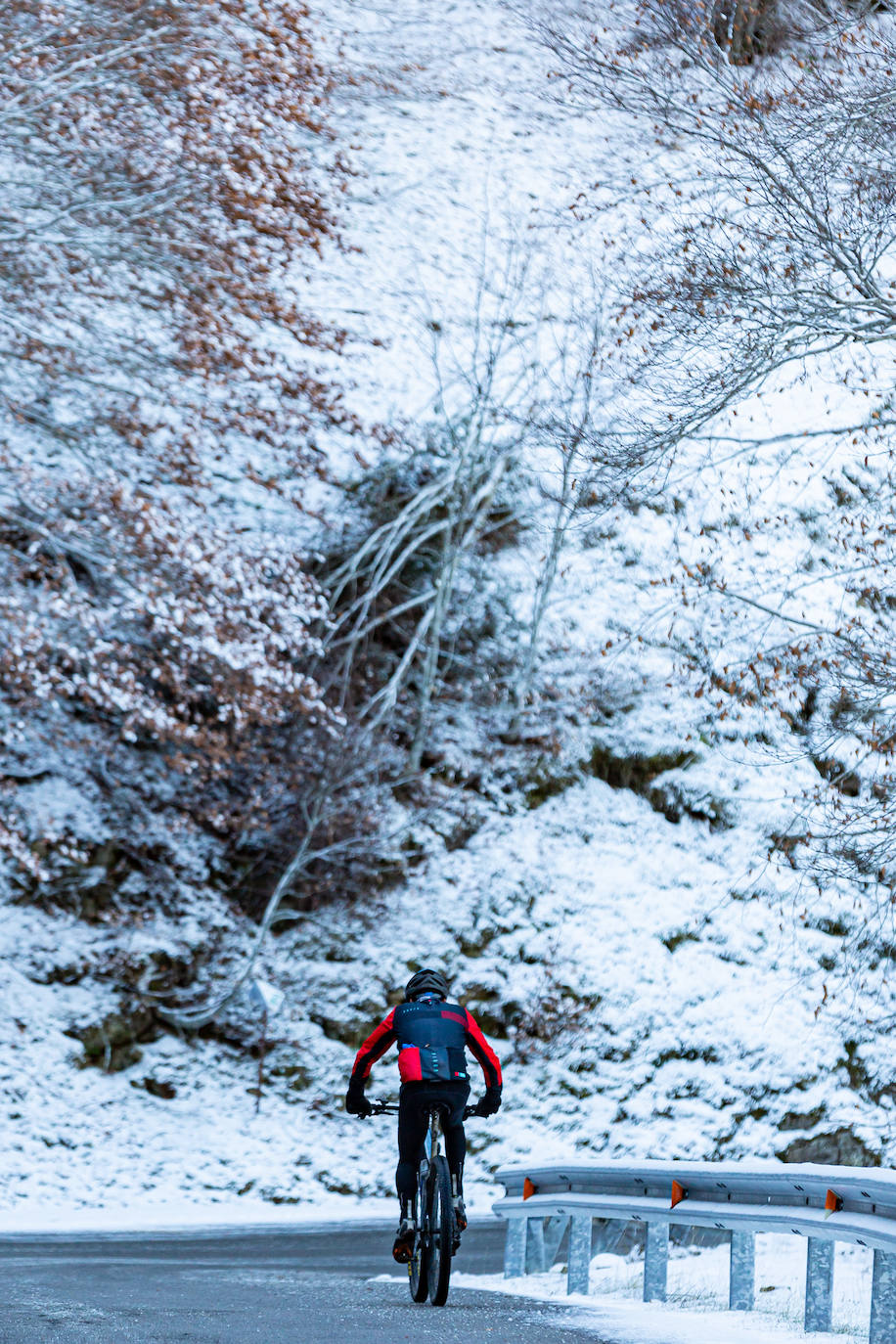 Fotos: Las estampas que dejan el frío y la nieve en La Rioja