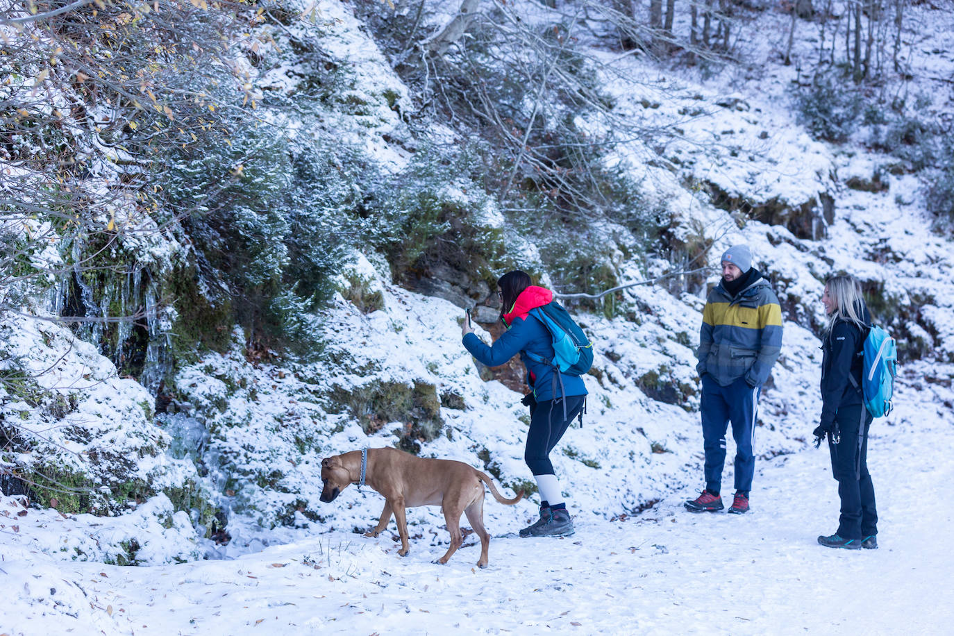 Fotos: Las estampas que dejan el frío y la nieve en La Rioja