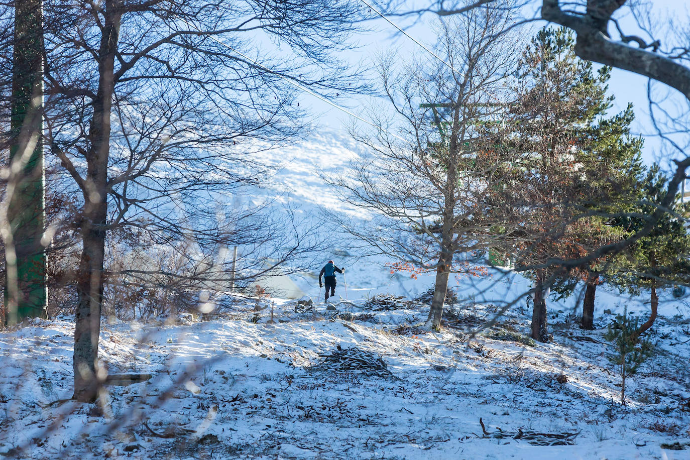 Fotos: Las estampas que dejan el frío y la nieve en La Rioja