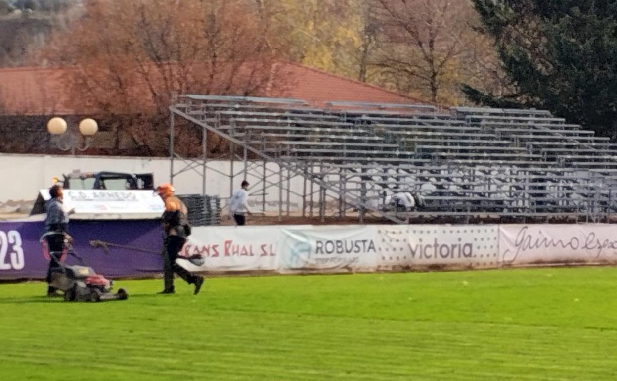 Varios operarios trabajan en la mejora del césped mientras se montan las gradas en Sendero. 