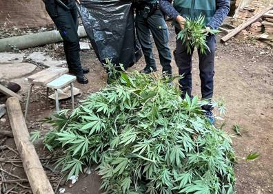 Imagen secundaria 1 - Detenidos dos hombres y desmantelado un laboratorio y punto de venta de droga en Alesanco