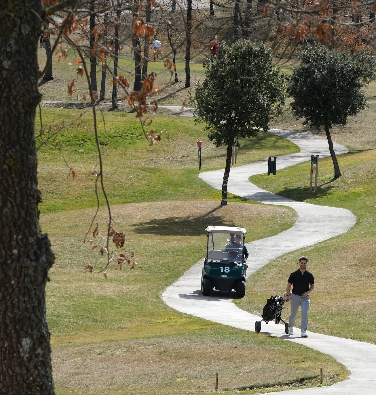 Torneo TVR de golf