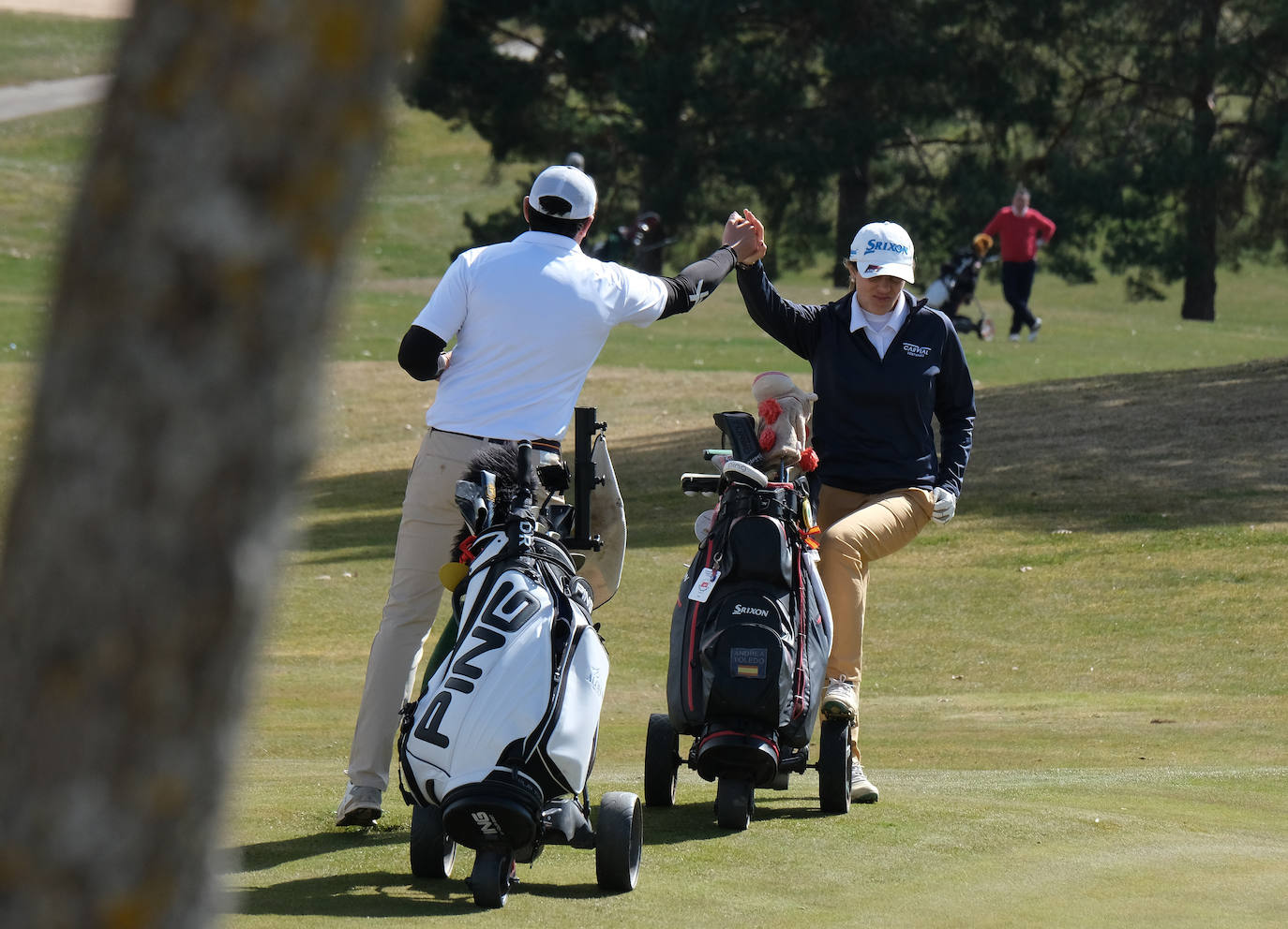 Torneo TVR de golf