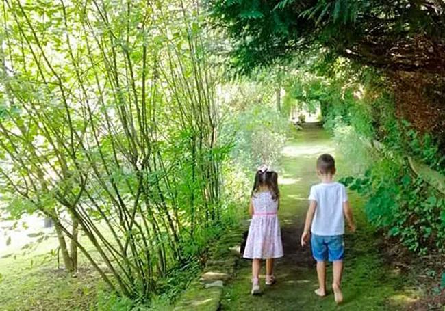 Un plan para toda la familia. El recorrido es ideal para niños.