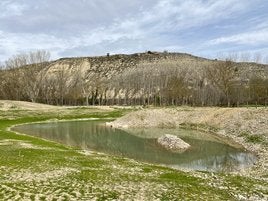 El humedal de Elciego anexo al río Ebro que cuenta con una pequeña isla para el asentamiento de fauna.