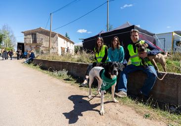 El equipo de rodaje de Coixet busca hogar para una perra que encontró en Nalda