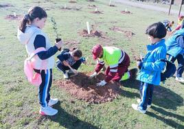 Alumnos del CEIP El Arco y del colegio Paula Montal durante la plantación.