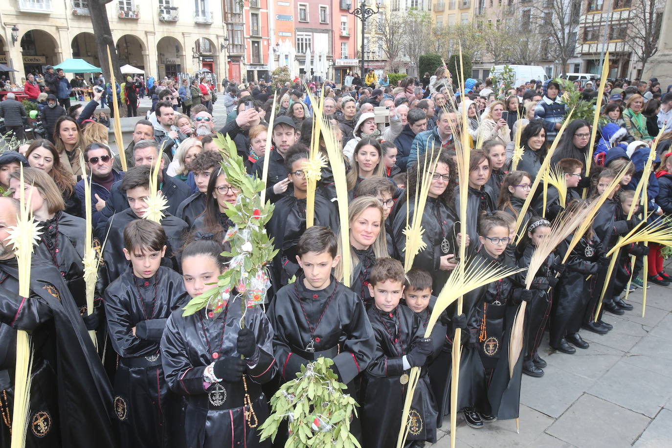 Procesión de la Borriquilla en Logroño