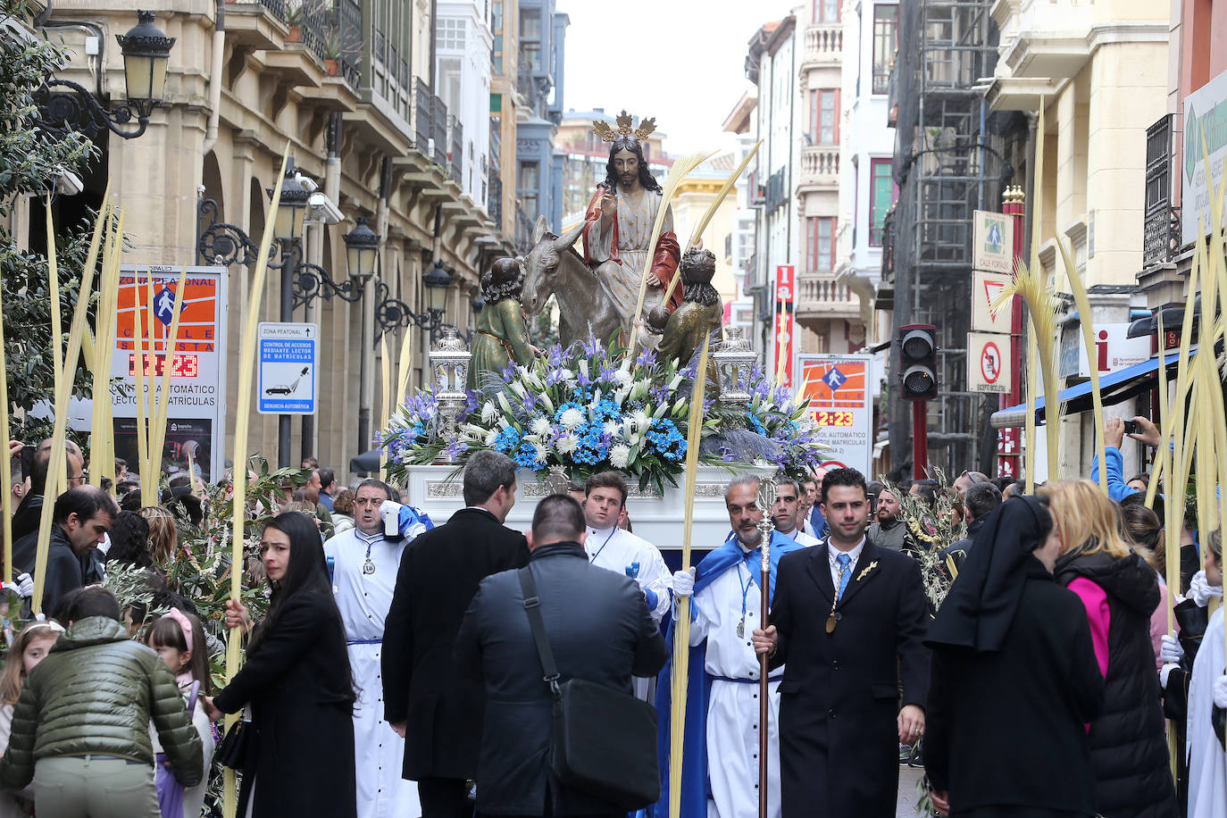 Procesión de la Borriquilla en Logroño