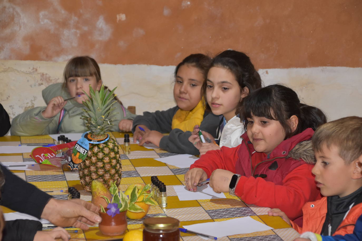 &#039;Quelexplora&#039; reúne a 115 niños