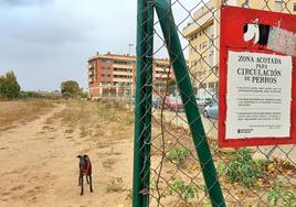 Un perro en la zona de esparcimiento canino de Los Lirios, en Logroño.