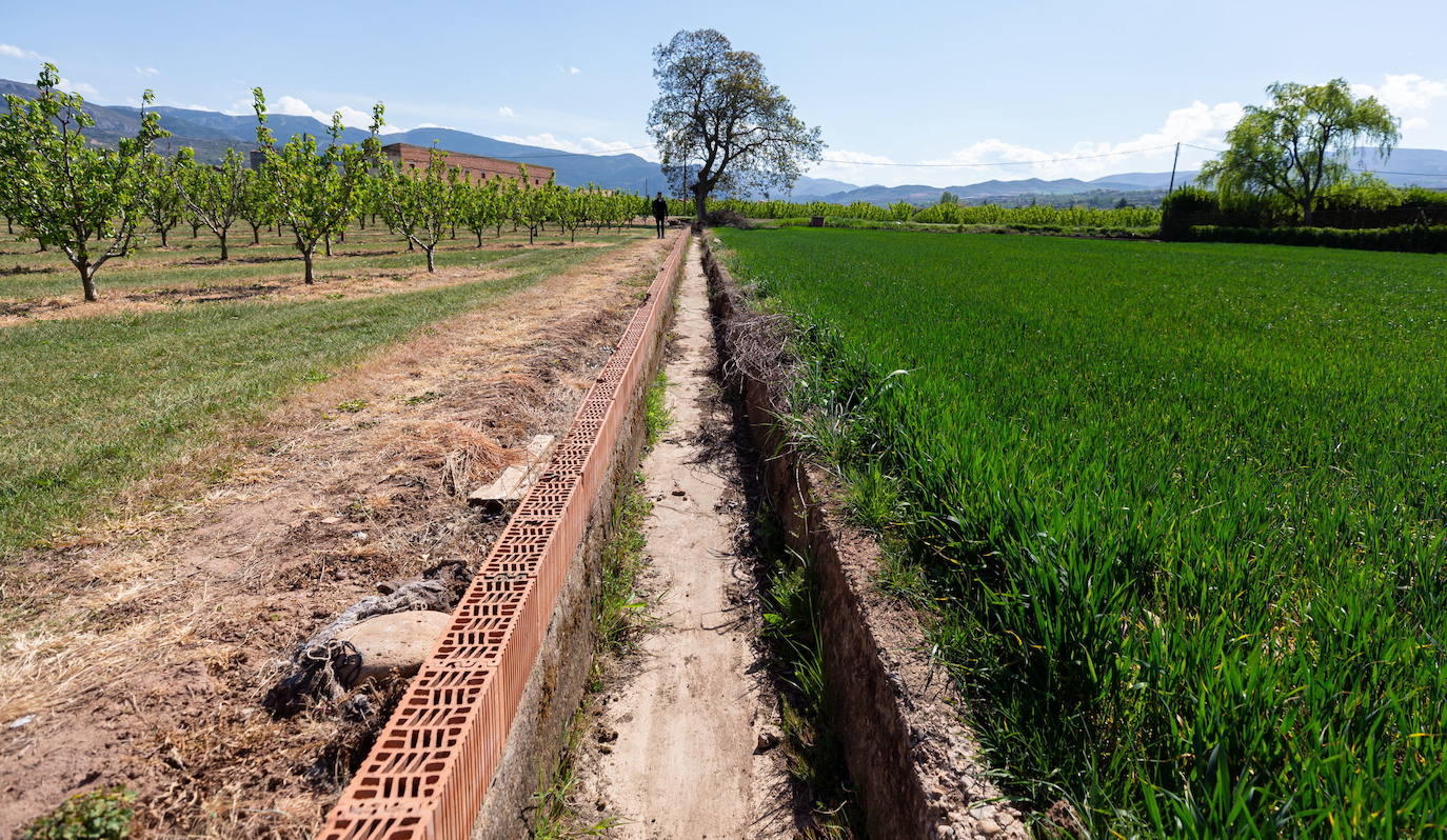 Acequia sin agua desde hace meses en Albelda de Iregua.
