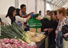 El mercado más verde de Calahorra