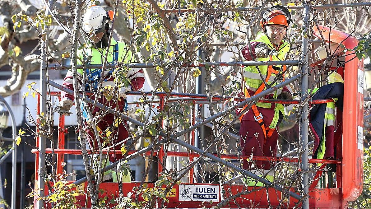 Operarios  podan ramas de árboles en El Espolón.