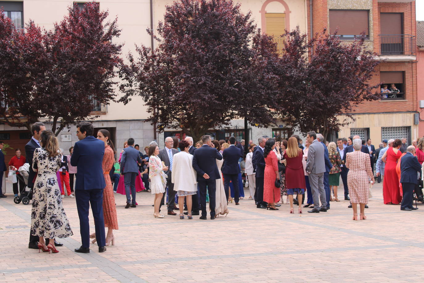 Las imágenes de la boda del año del PP riojano