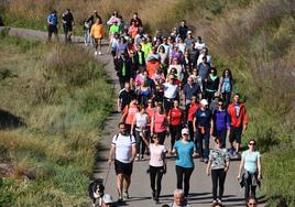 Marcha 'Entre sotos' de Rincón de Soto.