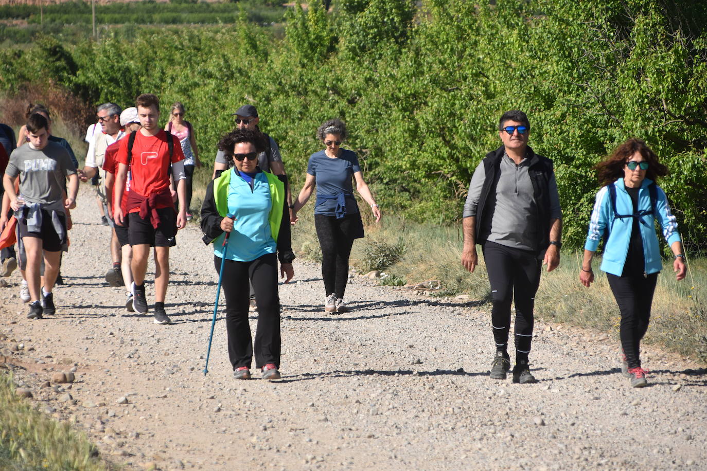 Marcha &#039;Entre sotos&#039; en Rincón de Soto