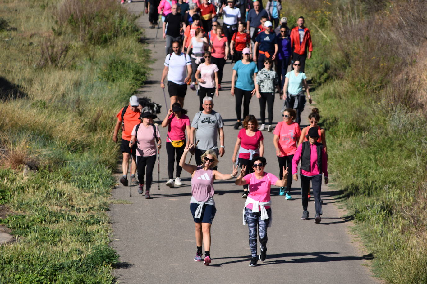 Marcha &#039;Entre sotos&#039; en Rincón de Soto